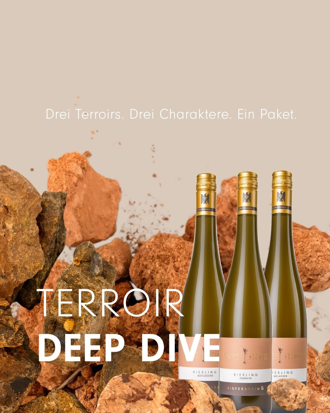 FRÜHSOMMERPAKET 2026