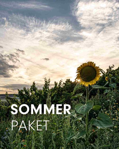 SOMMERPAKET 2026 | BIO